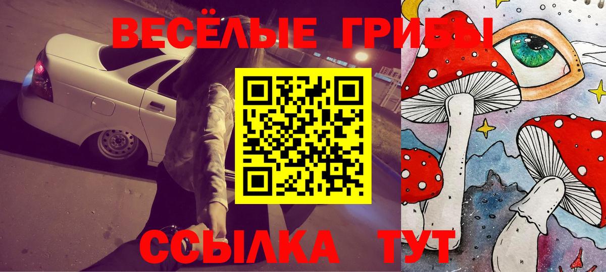 Галлюциногенные грибы Psilocybe Железноводск