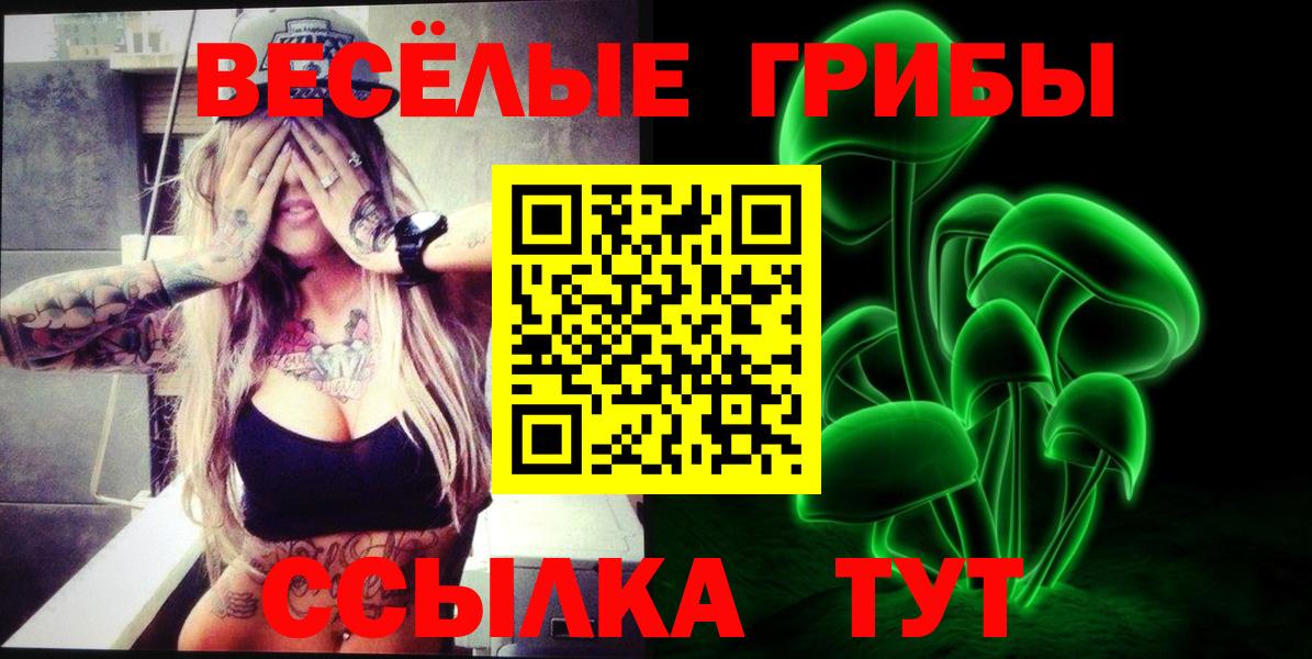 Галлюциногенные грибы MAGIC MUSHROOMS  Вход с VPN  Железноводск  Псилоцибиновые грибы мицелий 